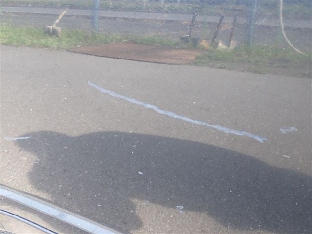 283.jpg