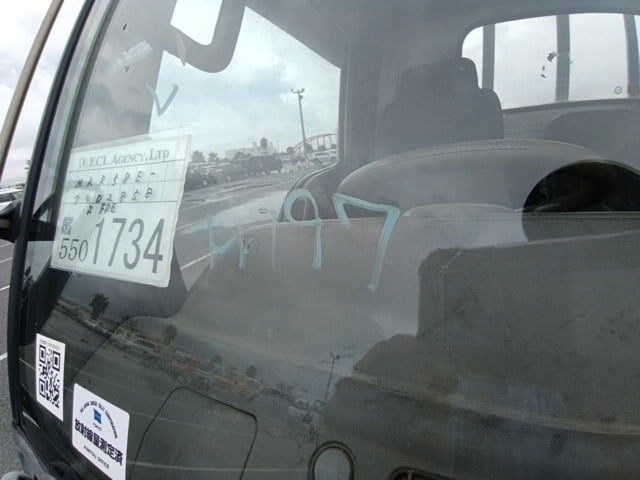 295.jpg