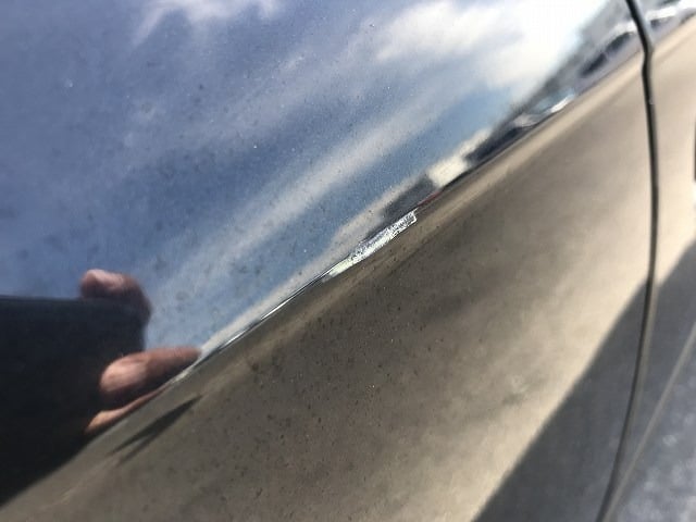 289.jpg