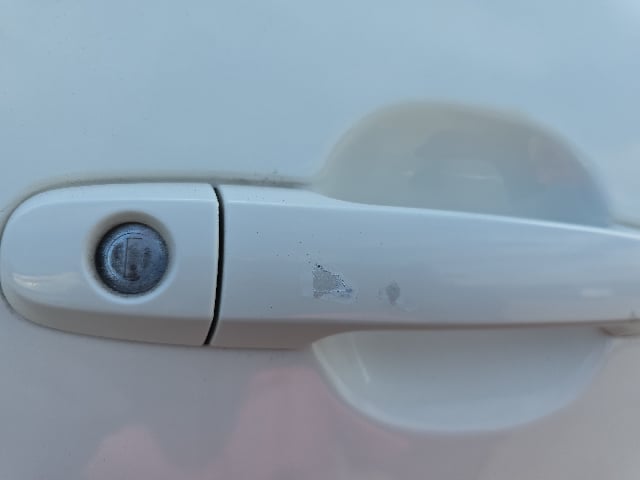283.jpg