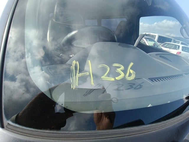 293.jpg