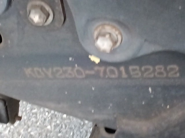 295.jpg