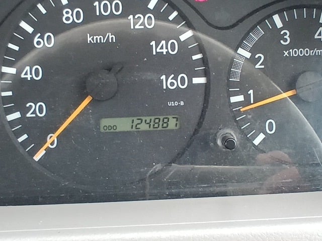 316.jpg