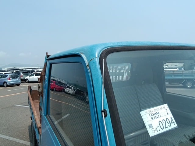 295.jpg