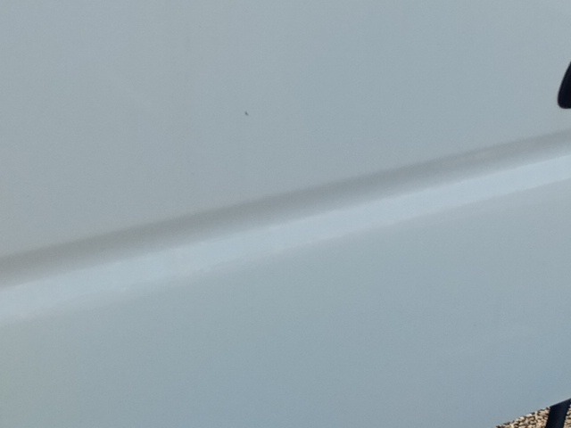 307.jpg