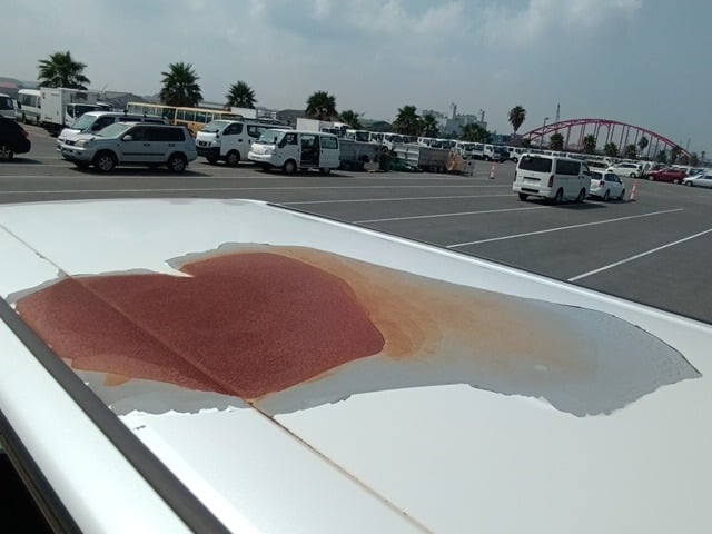 281.jpg