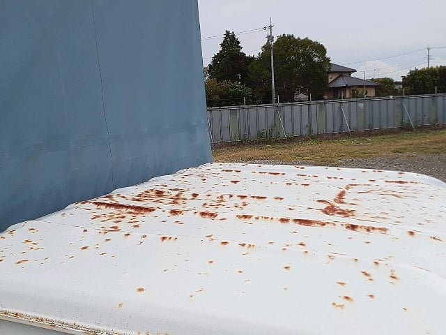 287.jpg