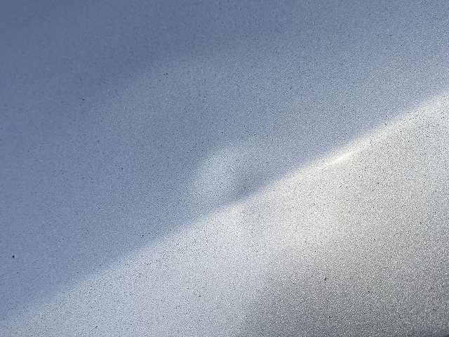 296.jpg