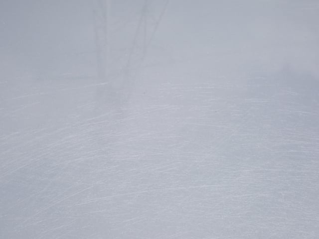 287.jpg