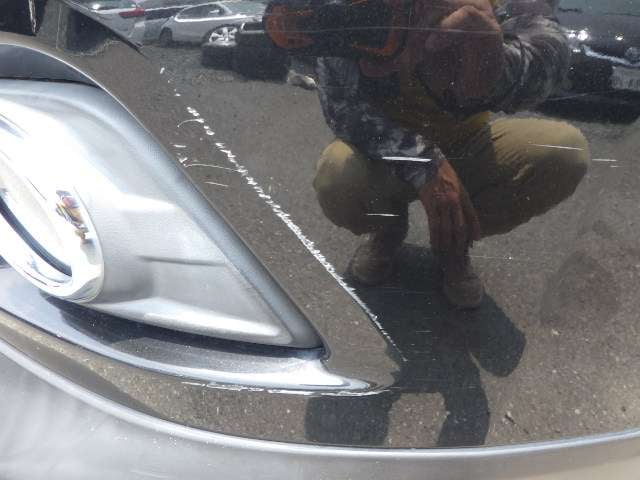 283.jpg