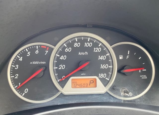 296.jpg