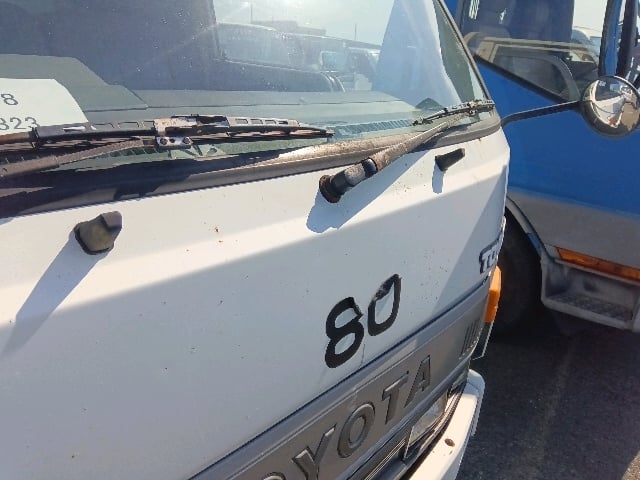 286.jpg