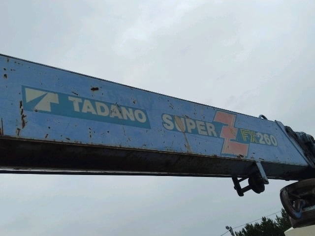 296.jpg