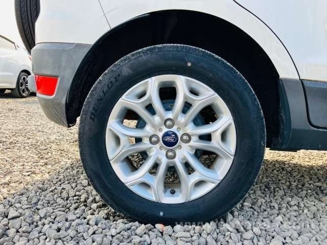 49.jpg
