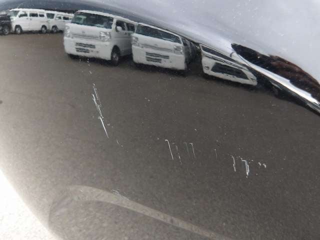 283.jpg