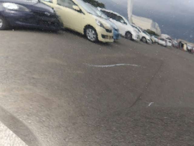286.jpg