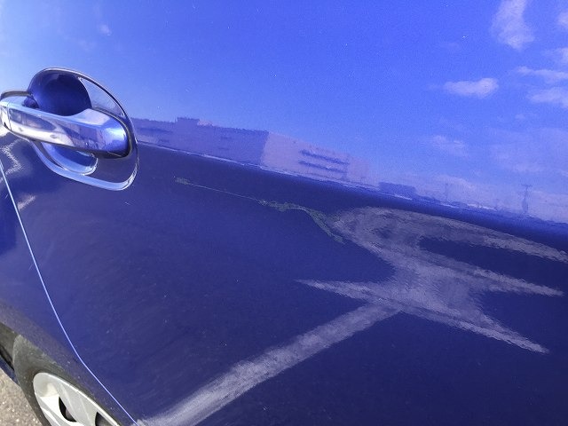 296.jpg
