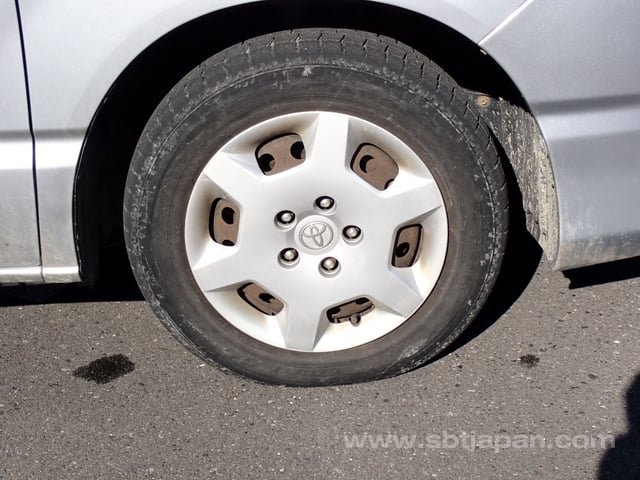 31.jpg