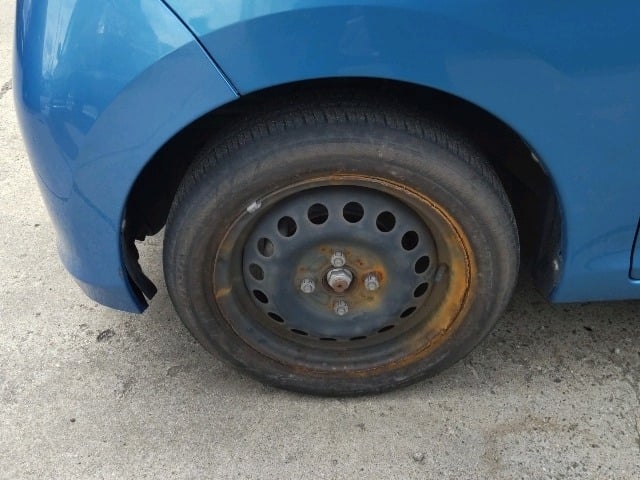 282.jpg