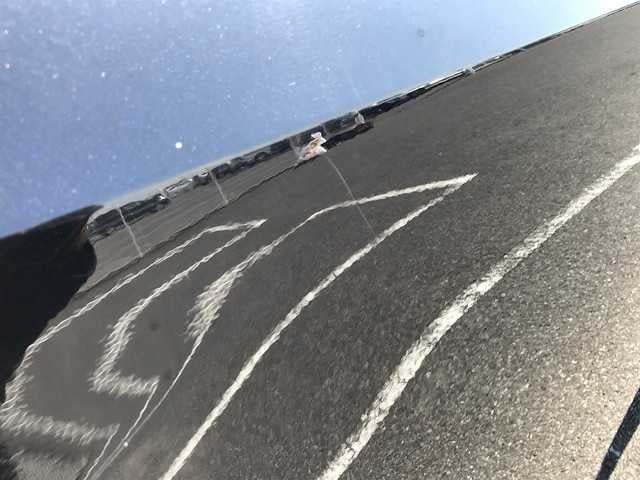 283.jpg