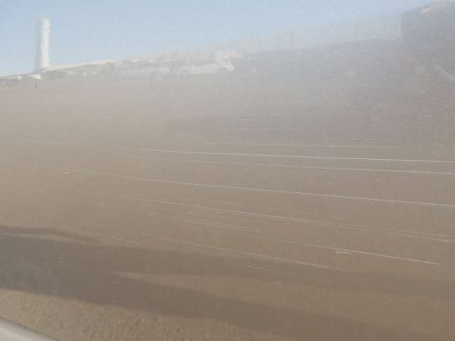 290.jpg